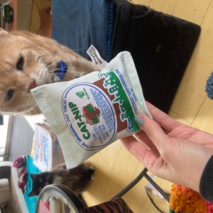 Jane added a photo of their purchase