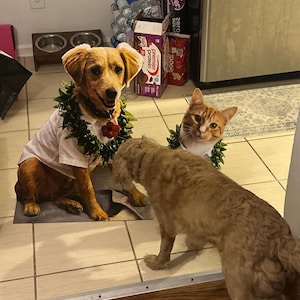 Jasmine added a photo of their purchase