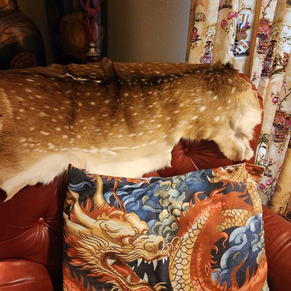 Bed Comforter Size Chart King Queen Comforter Size Guide PNG Duvet