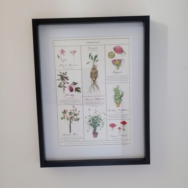 Herbology Chart A4 Print - Etsy