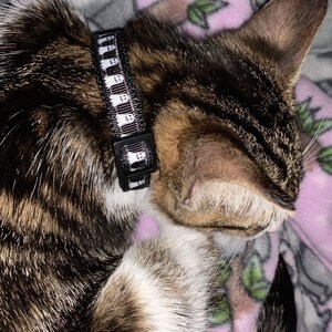 Hailey ha añadido una foto de su compra