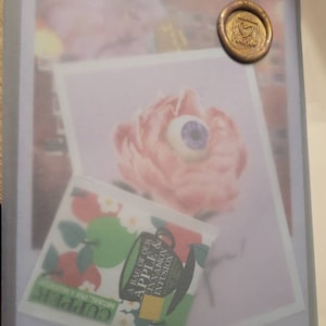 Vanessa added a photo of their purchase