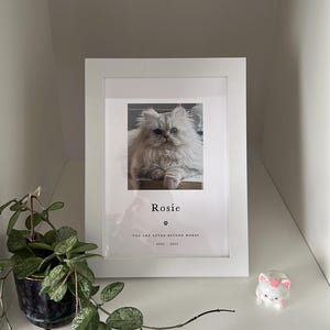 Rachel added a photo of their purchase