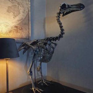 Philip added a photo of their purchase