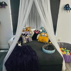 CJ added a photo of their purchase