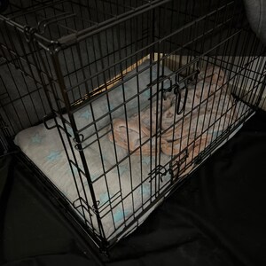 Stephen ha aggiunto una foto del proprio acquisto