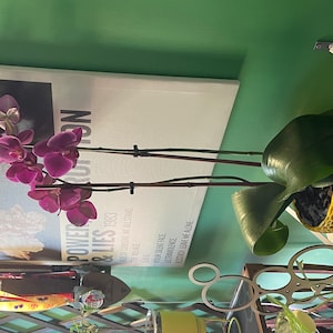 Gabrielle added a photo of their purchase