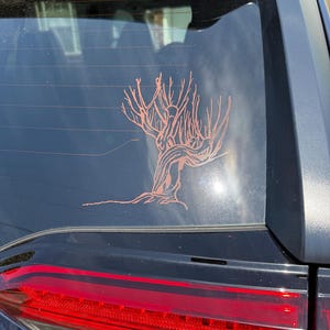 Mary added a photo of their purchase