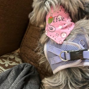 Donna added a photo of their purchase