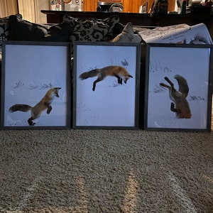 Brittany added a photo of their purchase