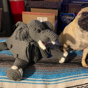 Laura added a photo of their purchase