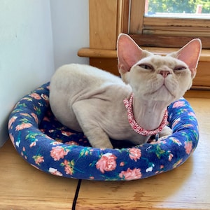 Jesse a ajouté une photo de son achat