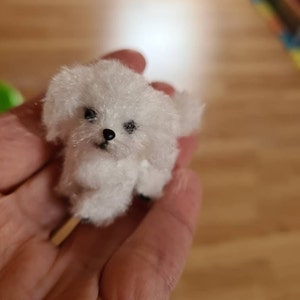 Miniature Realistic Maltese Dog Minitoy Ooak Puppy Pet Friend for Doll  Custom Dog Figurine Dollhouse Miniatures Handmade Ukrainian Artist -   Denmark