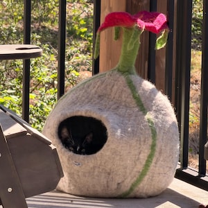 Holly added a photo of their purchase