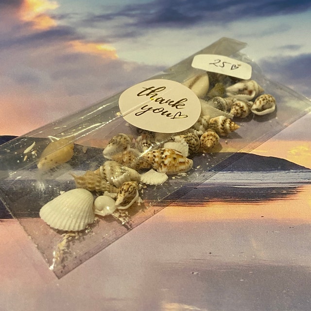 NatüRliche Muscheln Kleine WeißE Muscheln Bulk 280g Small Sea Shells FüR Heimdekorationen For Decorating Strand Thema Party Kerzenherstellung Dekor Aquarium VasenfüLler Handwerk DIY