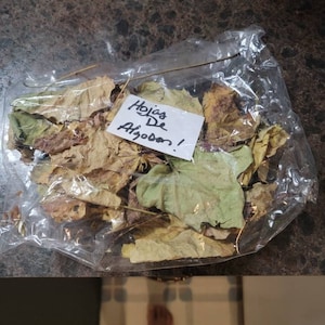 Reyna heeft een foto van de aankoop toegevoegd