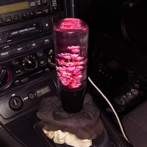 Vikki added a photo of their purchase