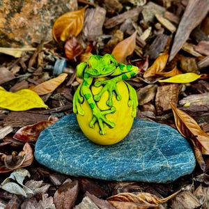 Aidani added a photo of their purchase