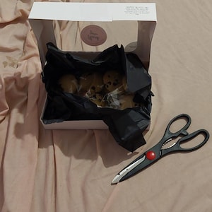 Lara さんが購入した商品の写真を追加しました