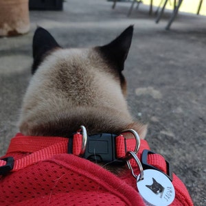 Lina ha añadido una foto de su compra