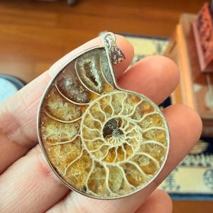 Rowena added a photo of their purchase