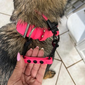 Shantell added a photo of their purchase