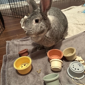Marle added a photo of their purchase