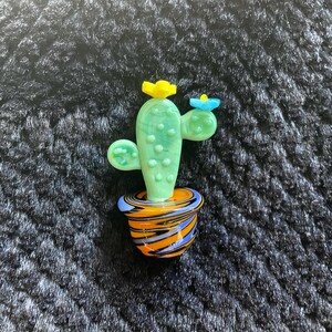 Stella added a photo of their purchase
