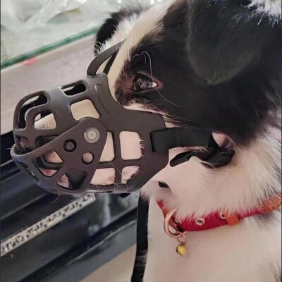 Handmade Dog Muzzle A Dog Muzzle and 1 Adjustable Fixed Rope Double ...