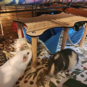 Karen added a photo of their purchase