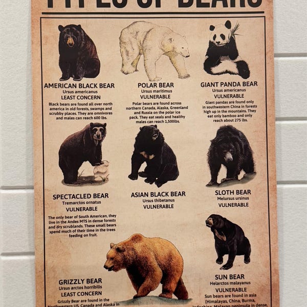 Bourbon Tasting Chart Poster, Bourbon Knowledge Poster, Wine Bar Poster