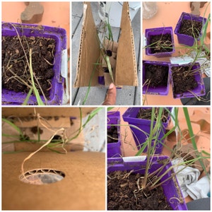 Suzyne a ajouté une photo de son achat