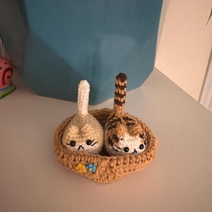 Gabriella added a photo of their purchase