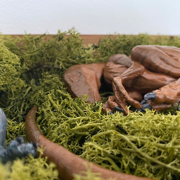 Sleeping Baby Velociraptor Art - Dinosaur - 3D Printed - Multiple ...