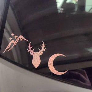 Nichole added a photo of their purchase