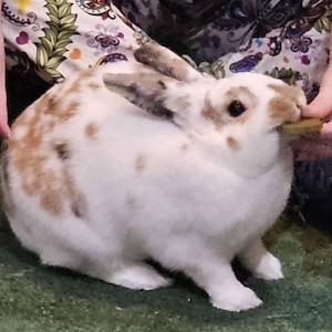 Melissa added a photo of their purchase