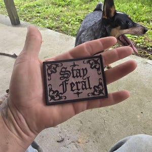 Hayley added a photo of their purchase