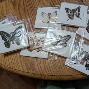 Nicole added a photo of their purchase
