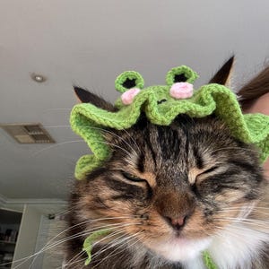 Izzy さんが購入した商品の写真を追加しました