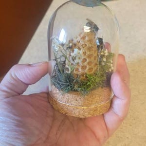 Alicia added a photo of their purchase