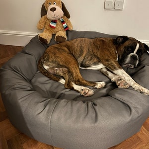 Rachael added a photo of their purchase