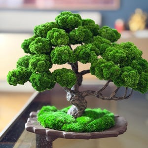 Handcrafted Preserved Moss Japanese Bonsai Tree, Low-maintenance