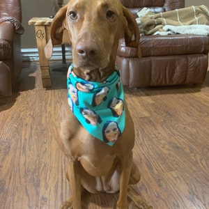 Elaine added a photo of their purchase