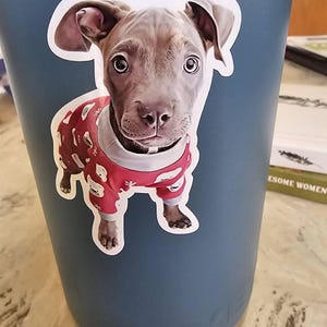Shawni added a photo of their purchase