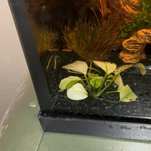 Miriam heeft een foto van de aankoop toegevoegd