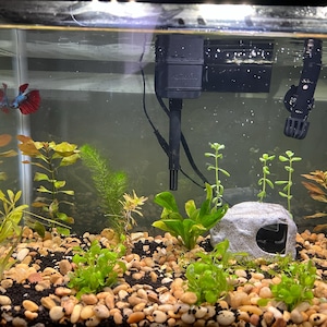 Maddie hat ein Foto des gekauften Artikels hinzugefügt