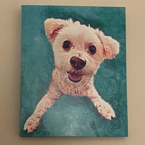 bettecsi added a photo of their purchase