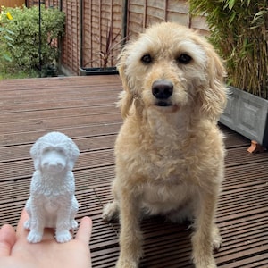 FLORENCE added a photo of their purchase