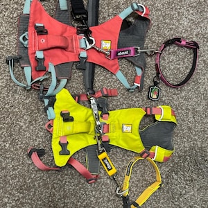 Cecilia added a photo of their purchase