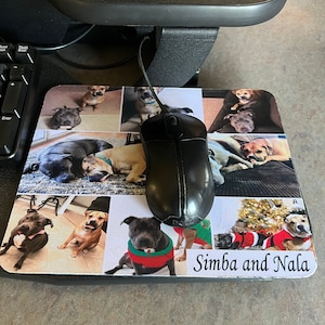 Giuli added a photo of their purchase